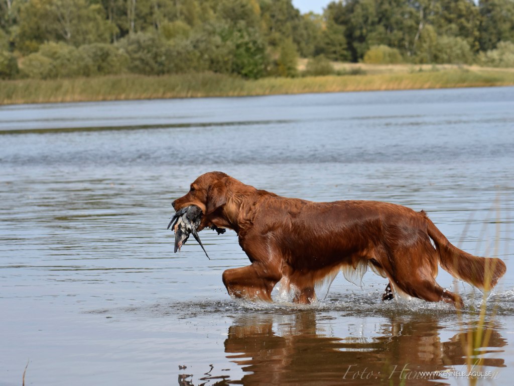 Svårare bära andras lycka än egen olycka