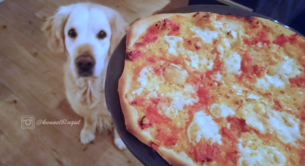 1pizza