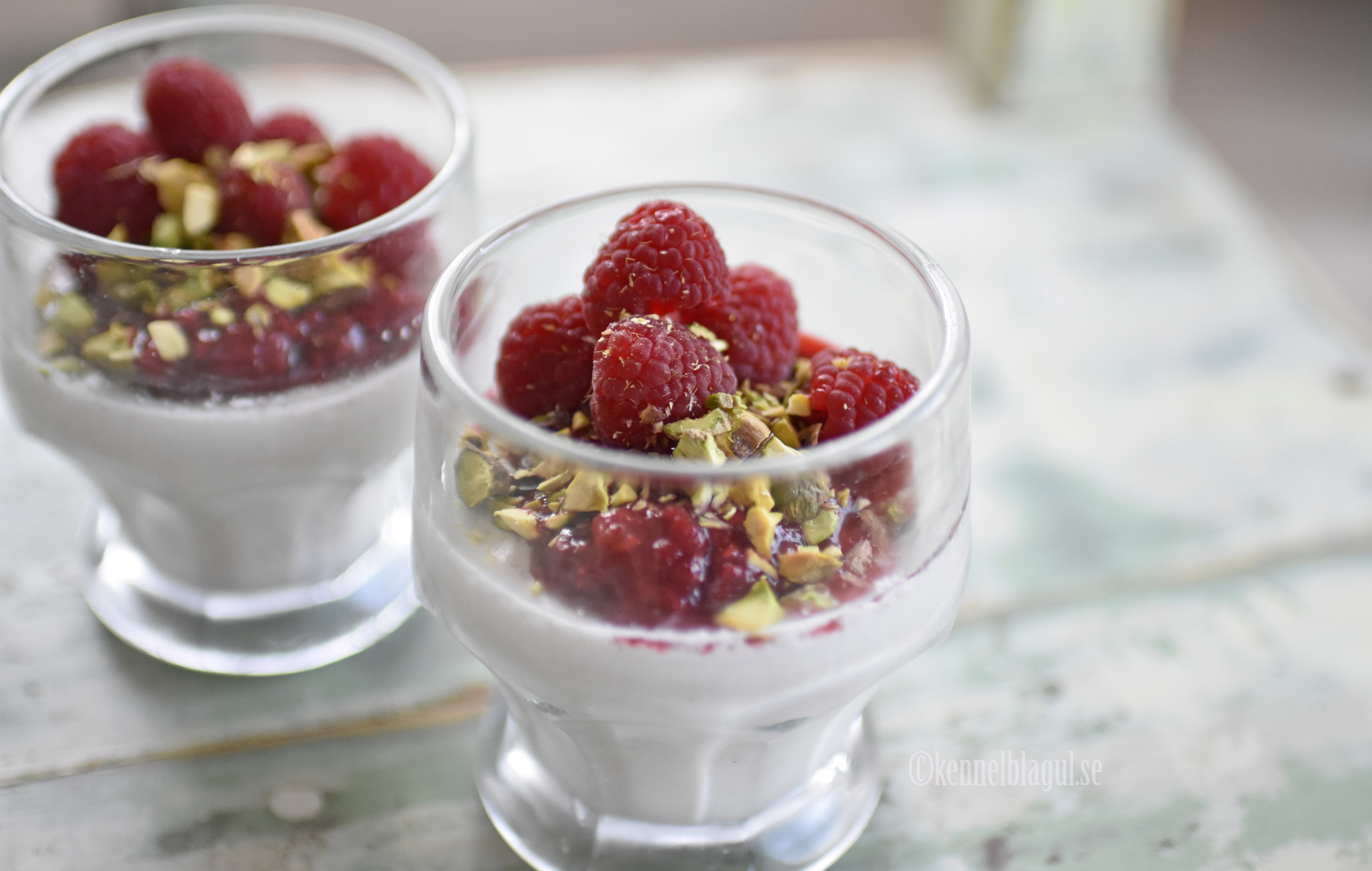 1pannacotta