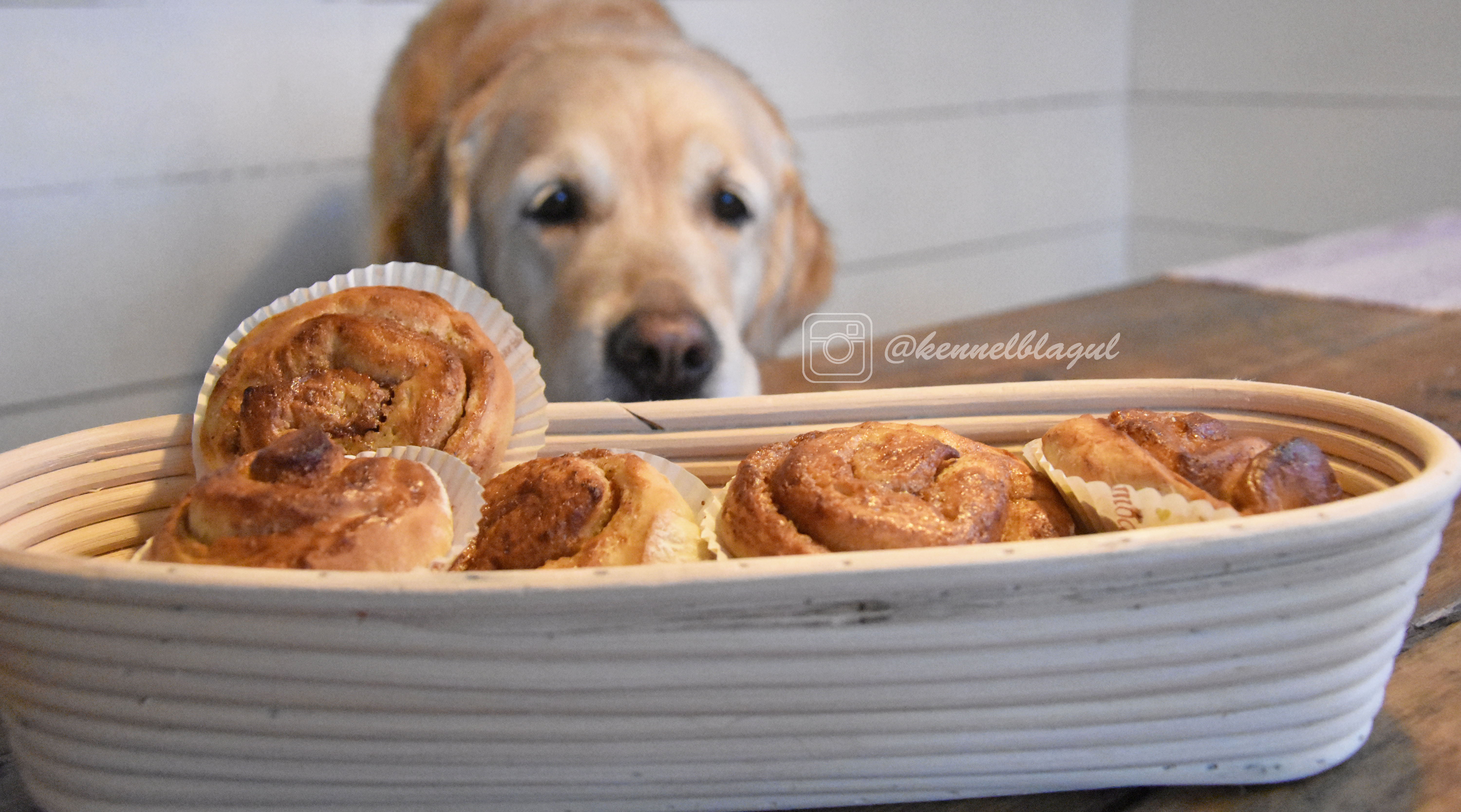 kanelbullar med dinkel.jpg