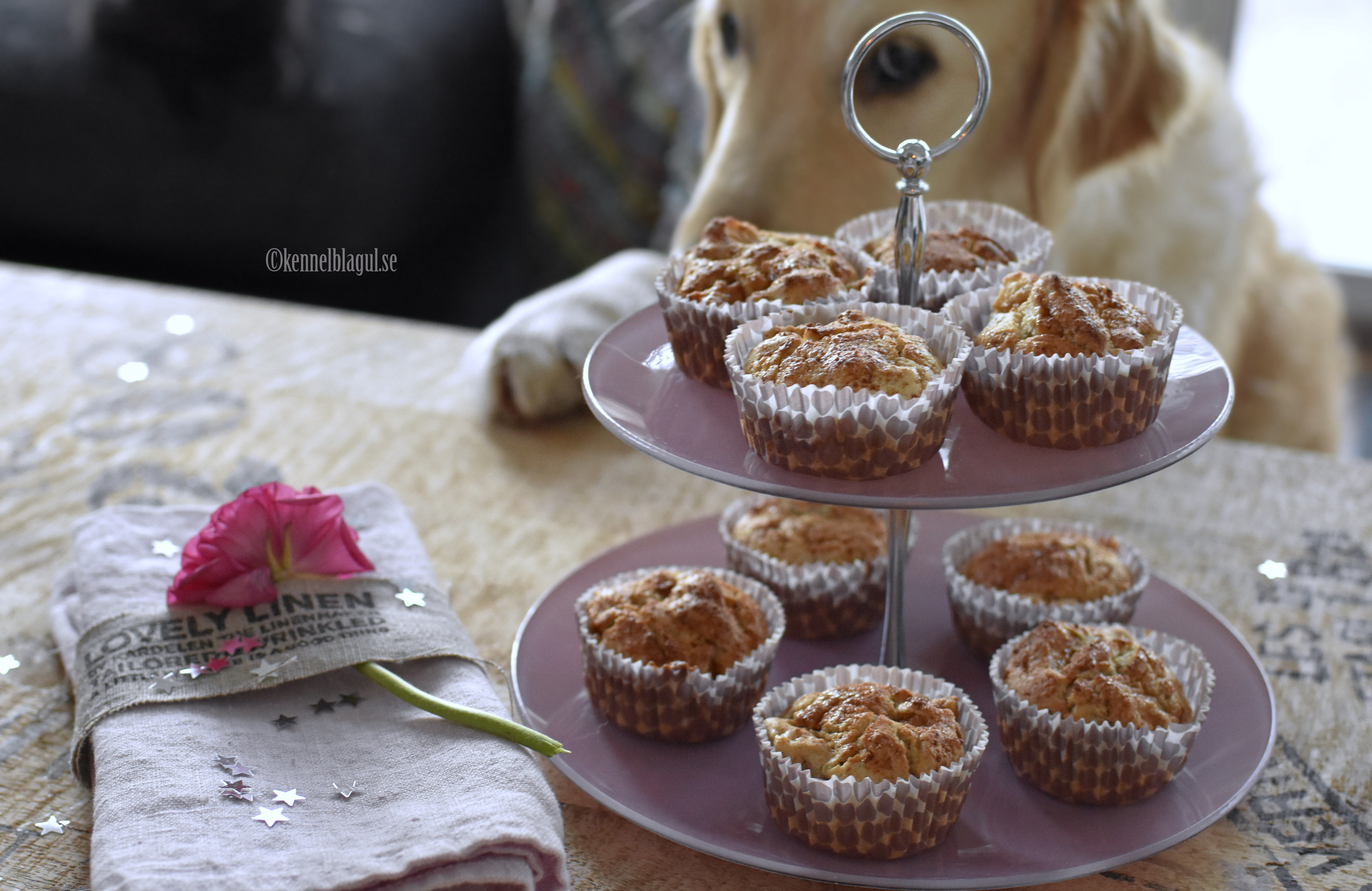 1_dinkelmuffins_äpple_kanel