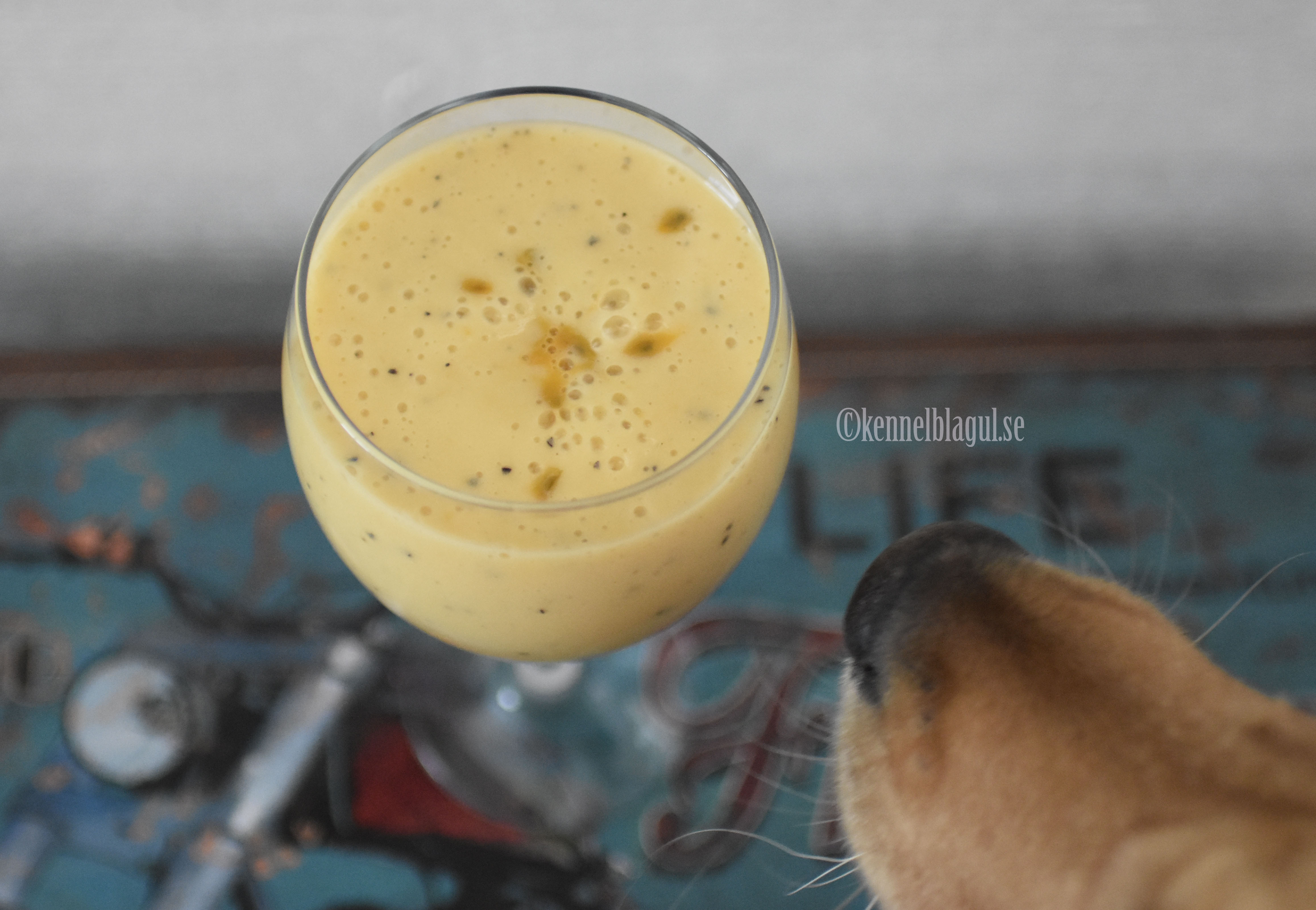 1smoothie