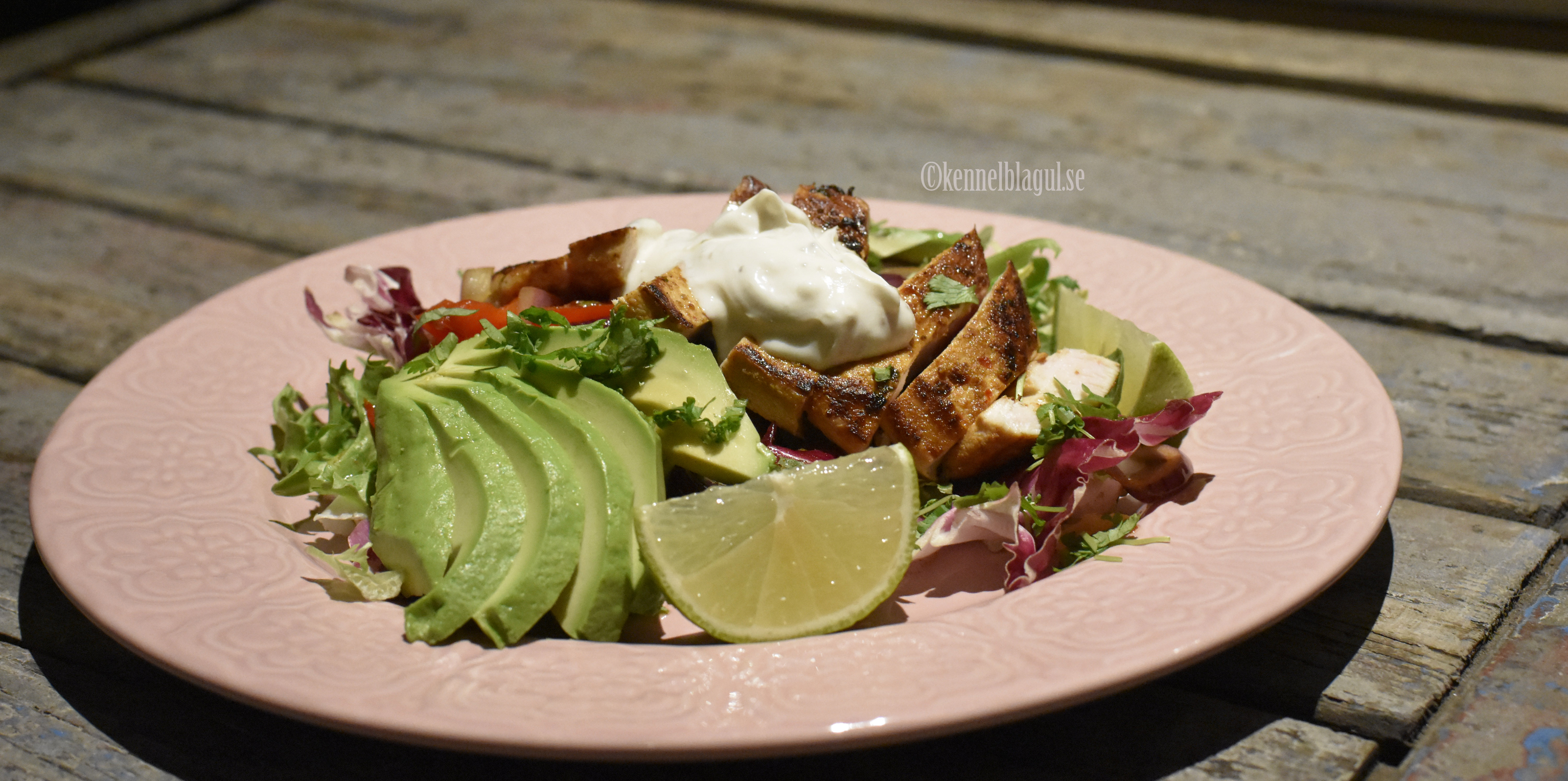 1chicken fajita.jpg