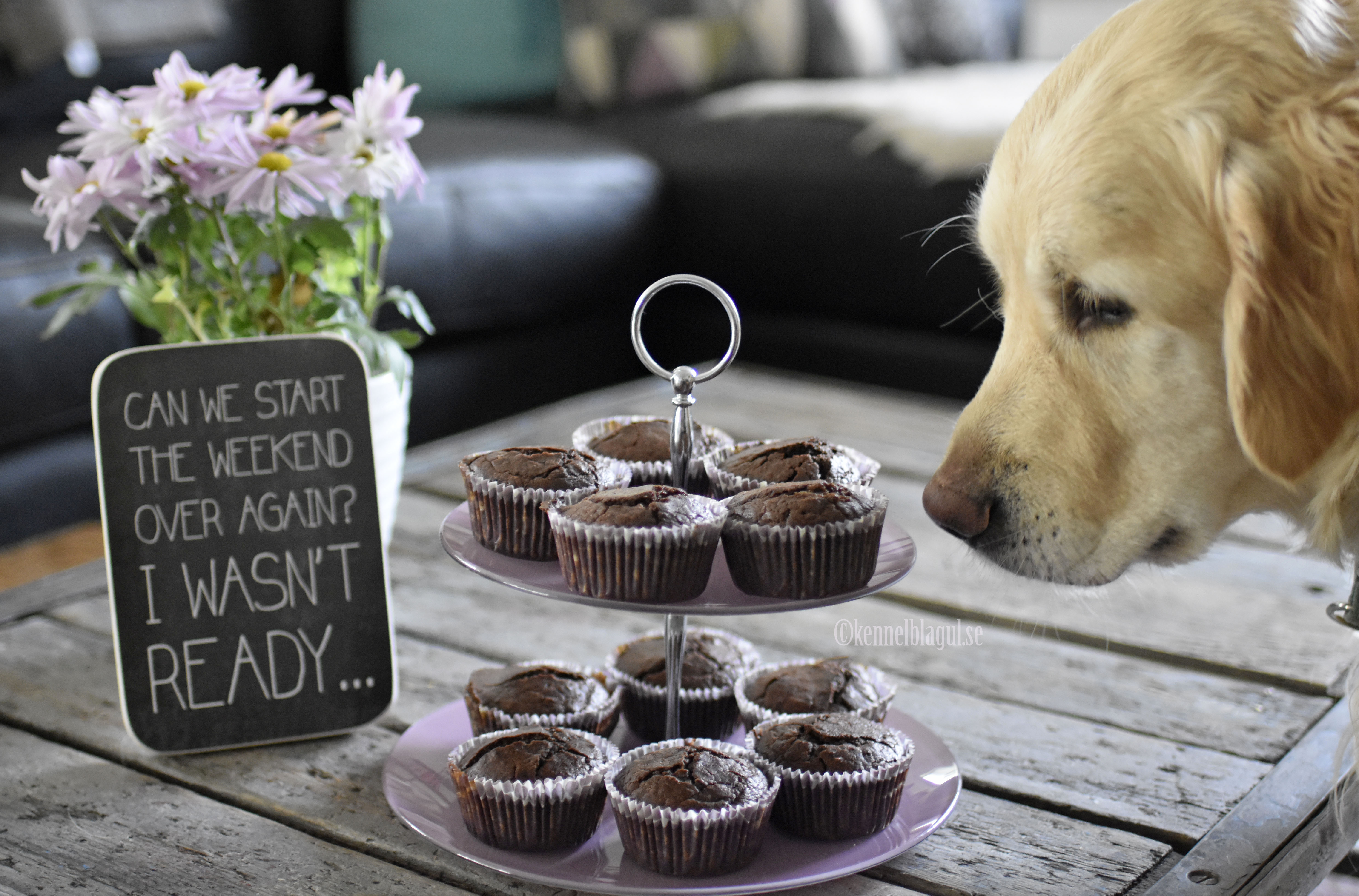 1chokladmuffins.jpg