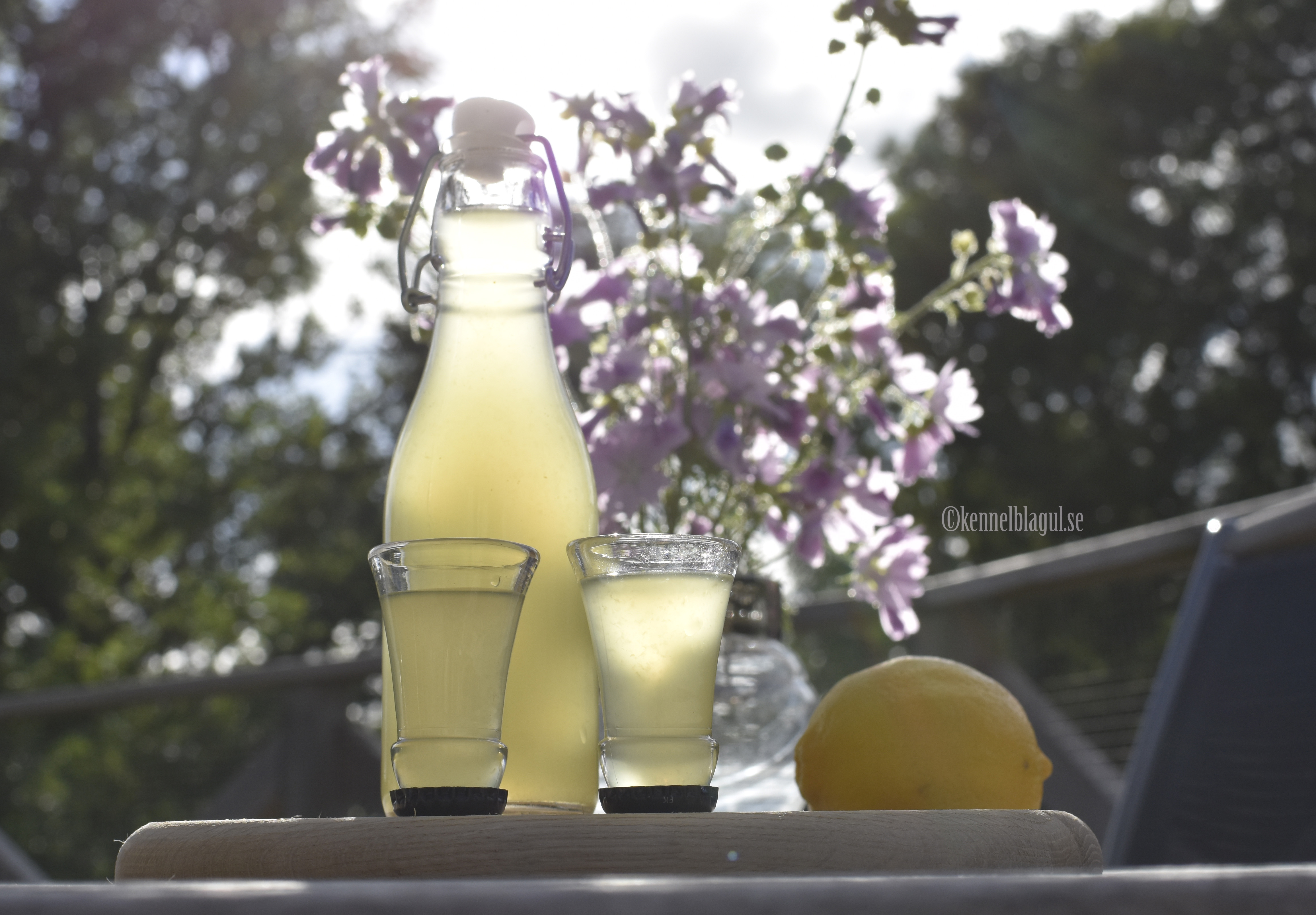 1limoncellolikör.jpg