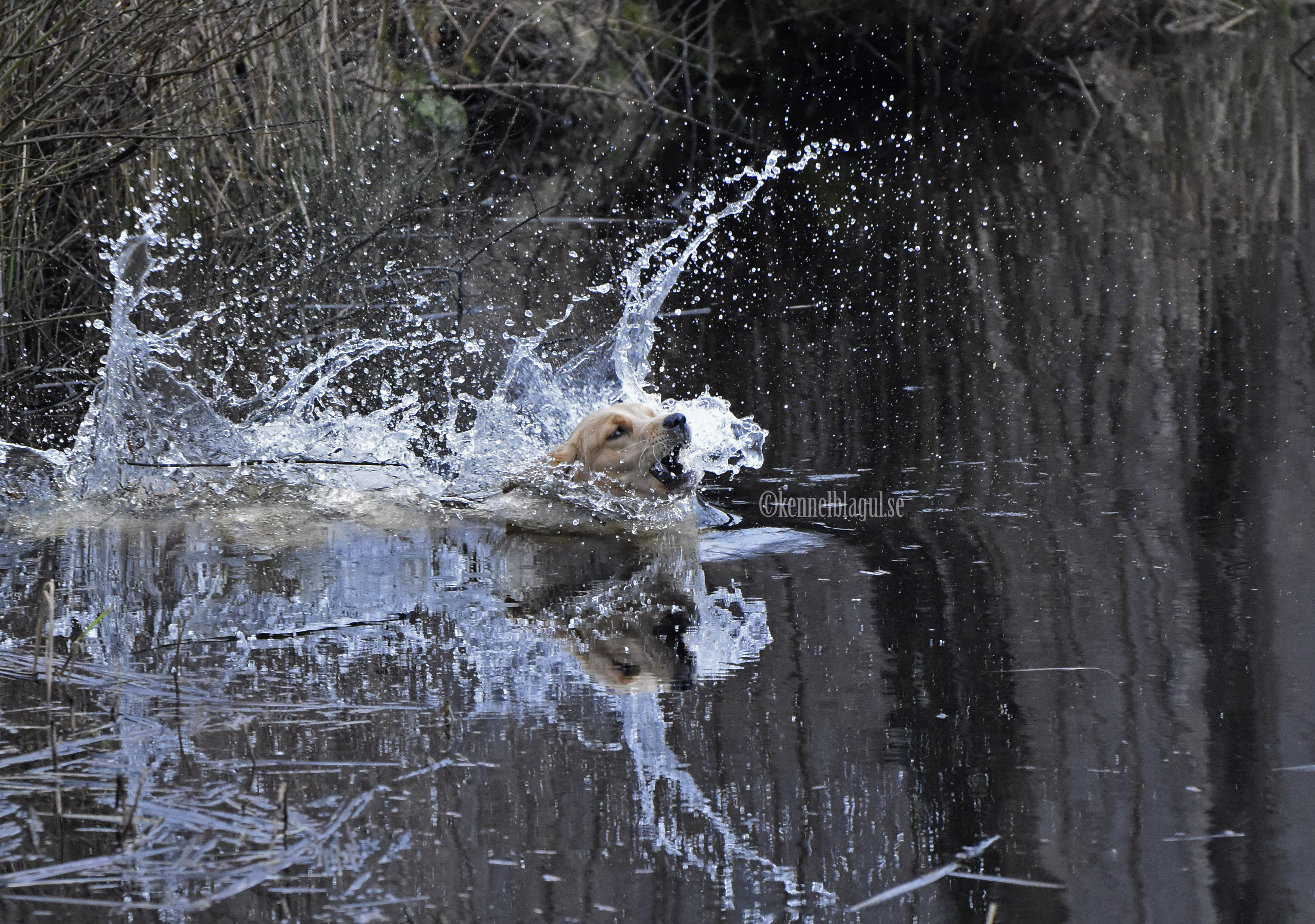 1det finns två tillfällen när du bör hålla munnen stängd.jpg