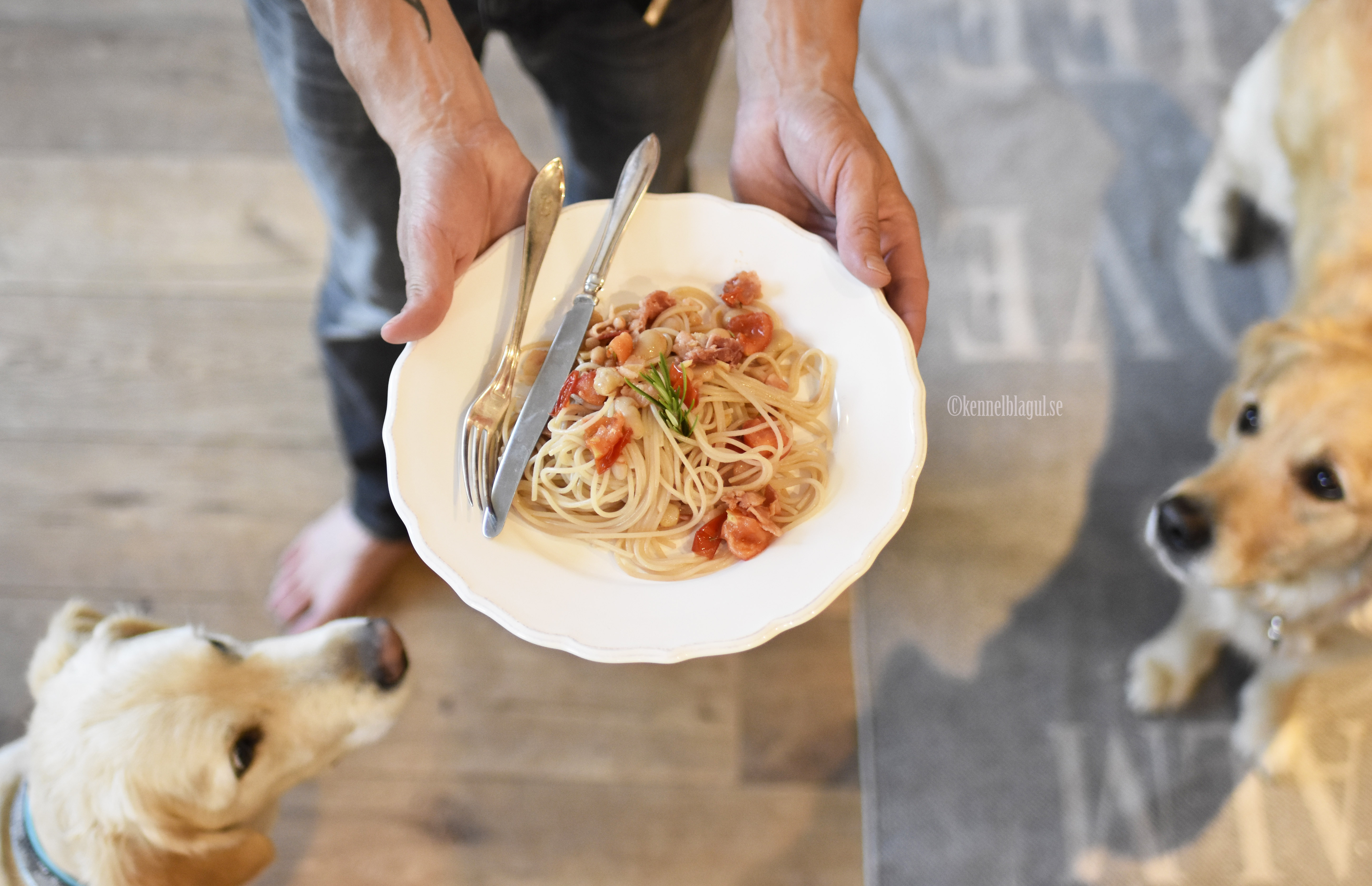 1pasta.jpg