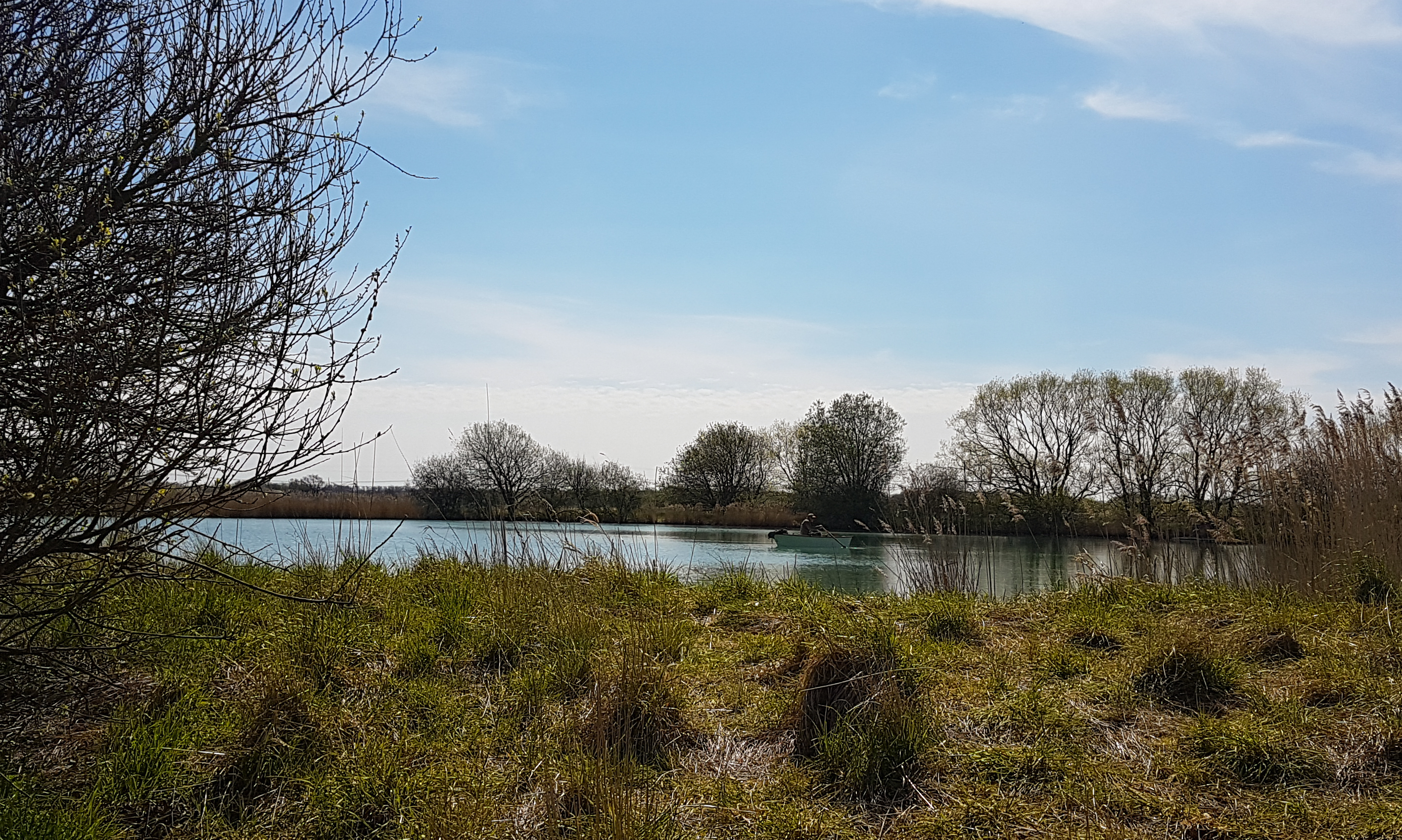 20170506_135237.jpg