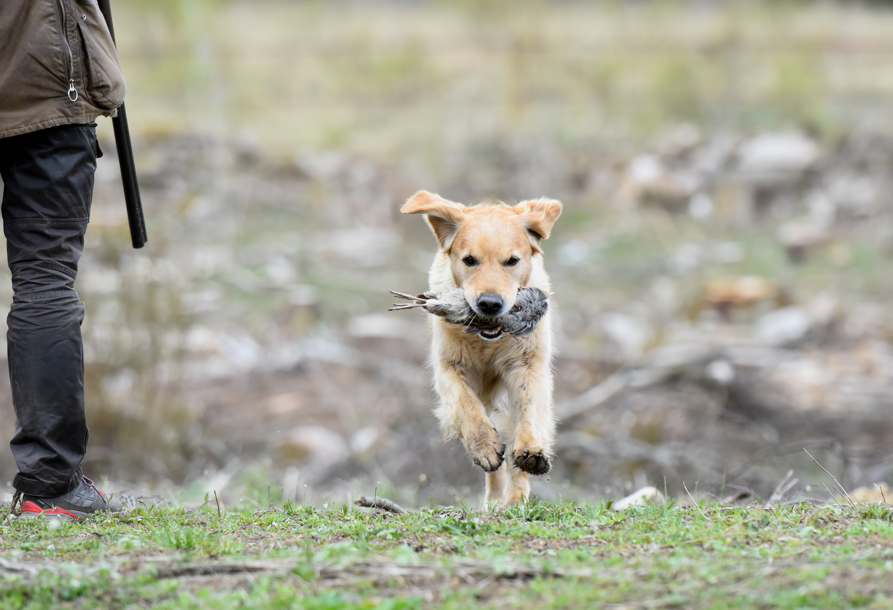 _DSC6355.jpg