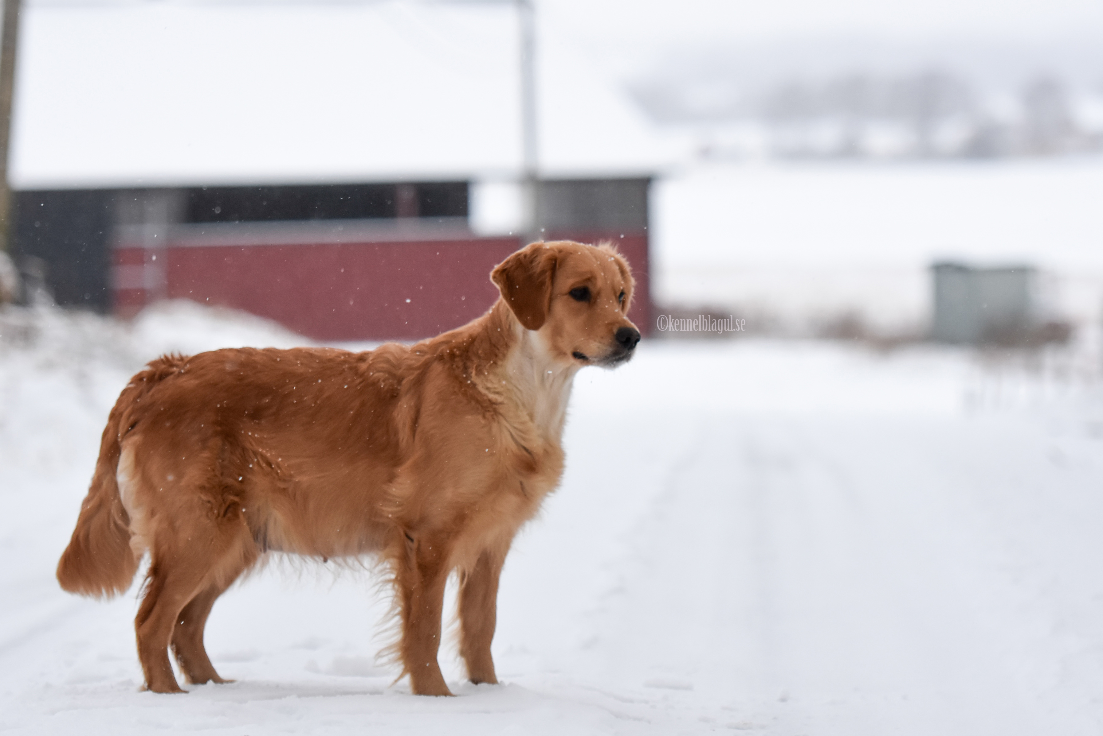 _DSC7588.jpg