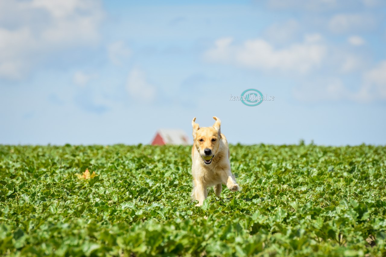 thumbnail__DSC9061.jpg