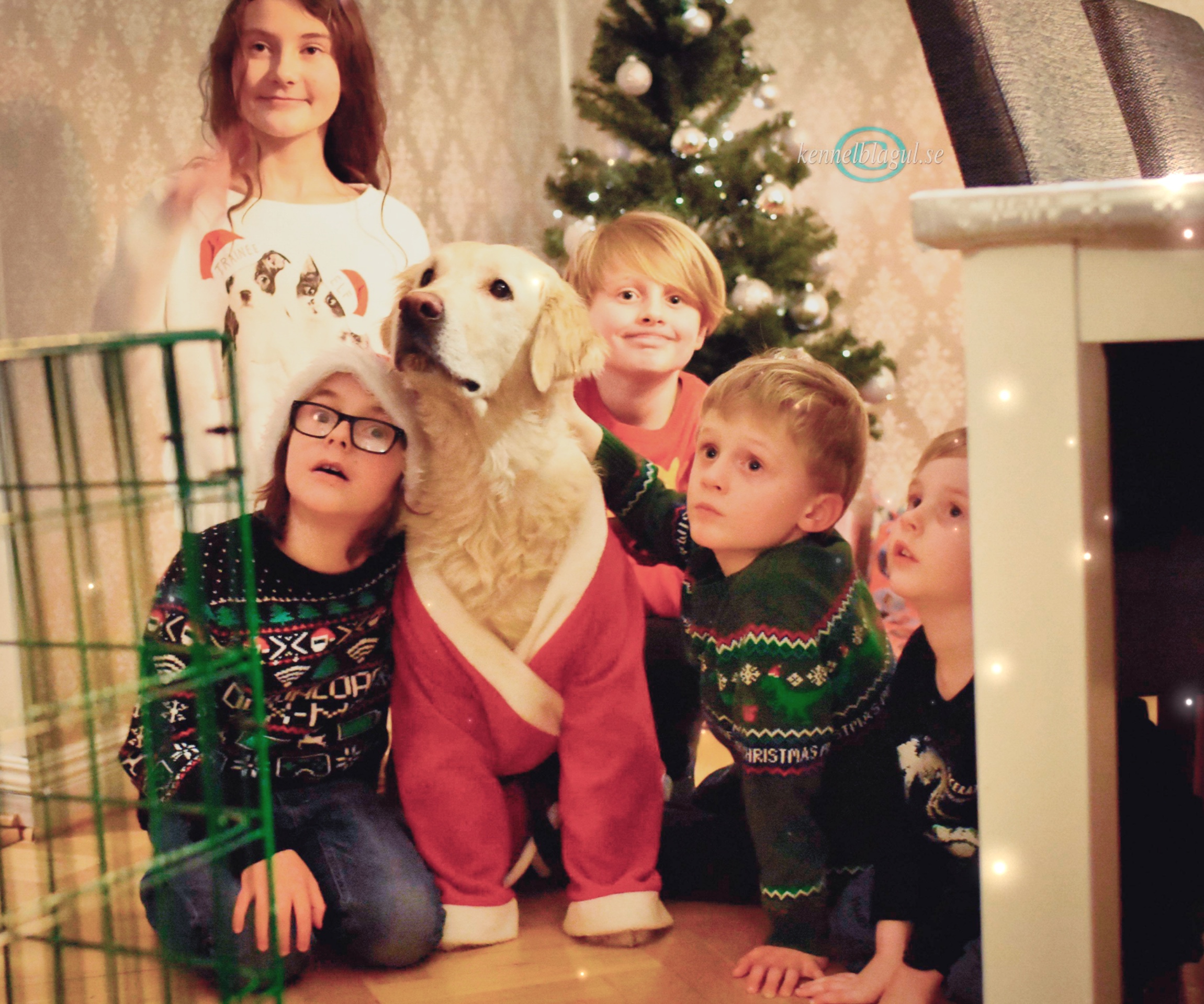 InShot_20181223_210804572.jpg