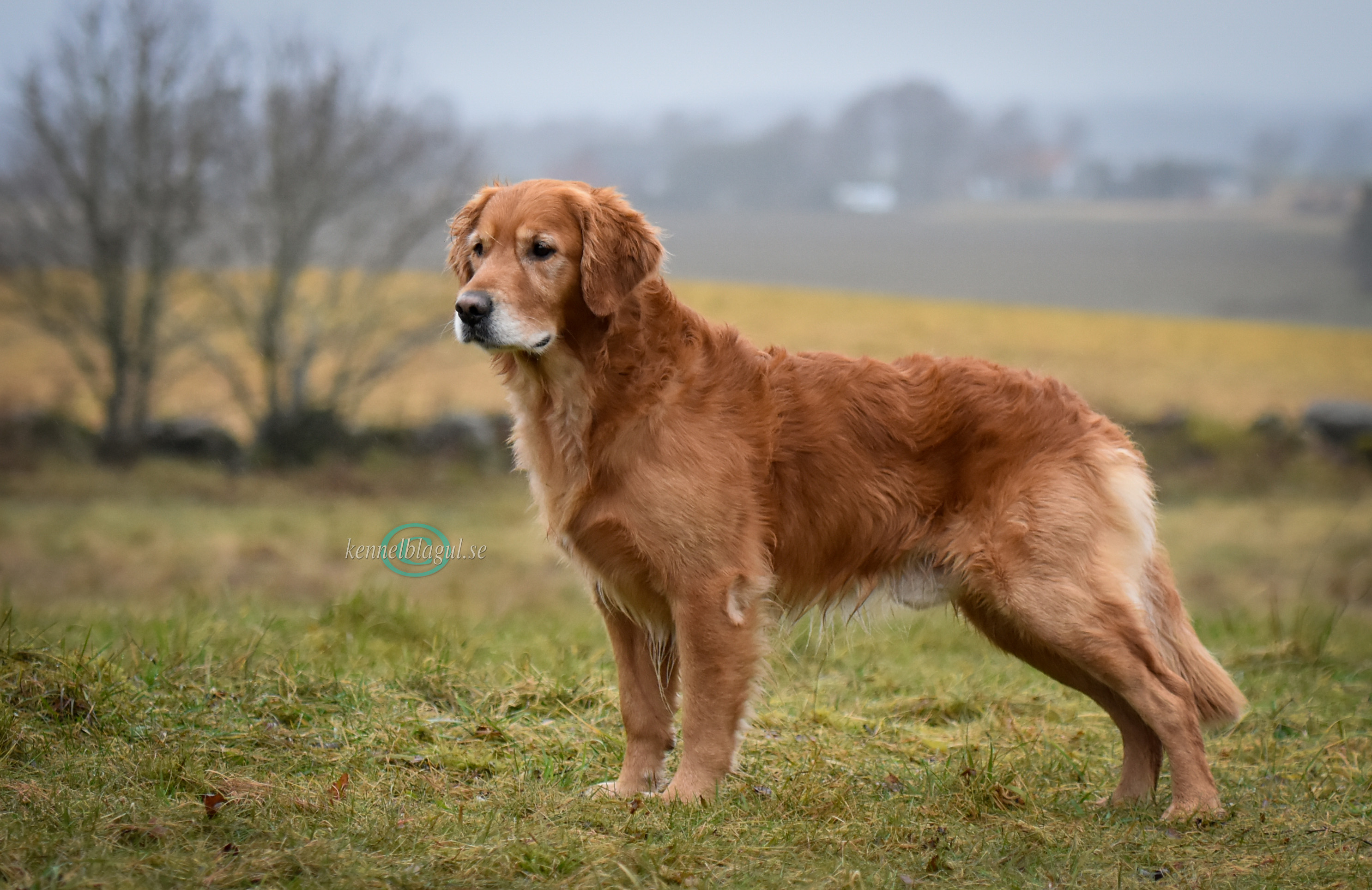 _dsc0989