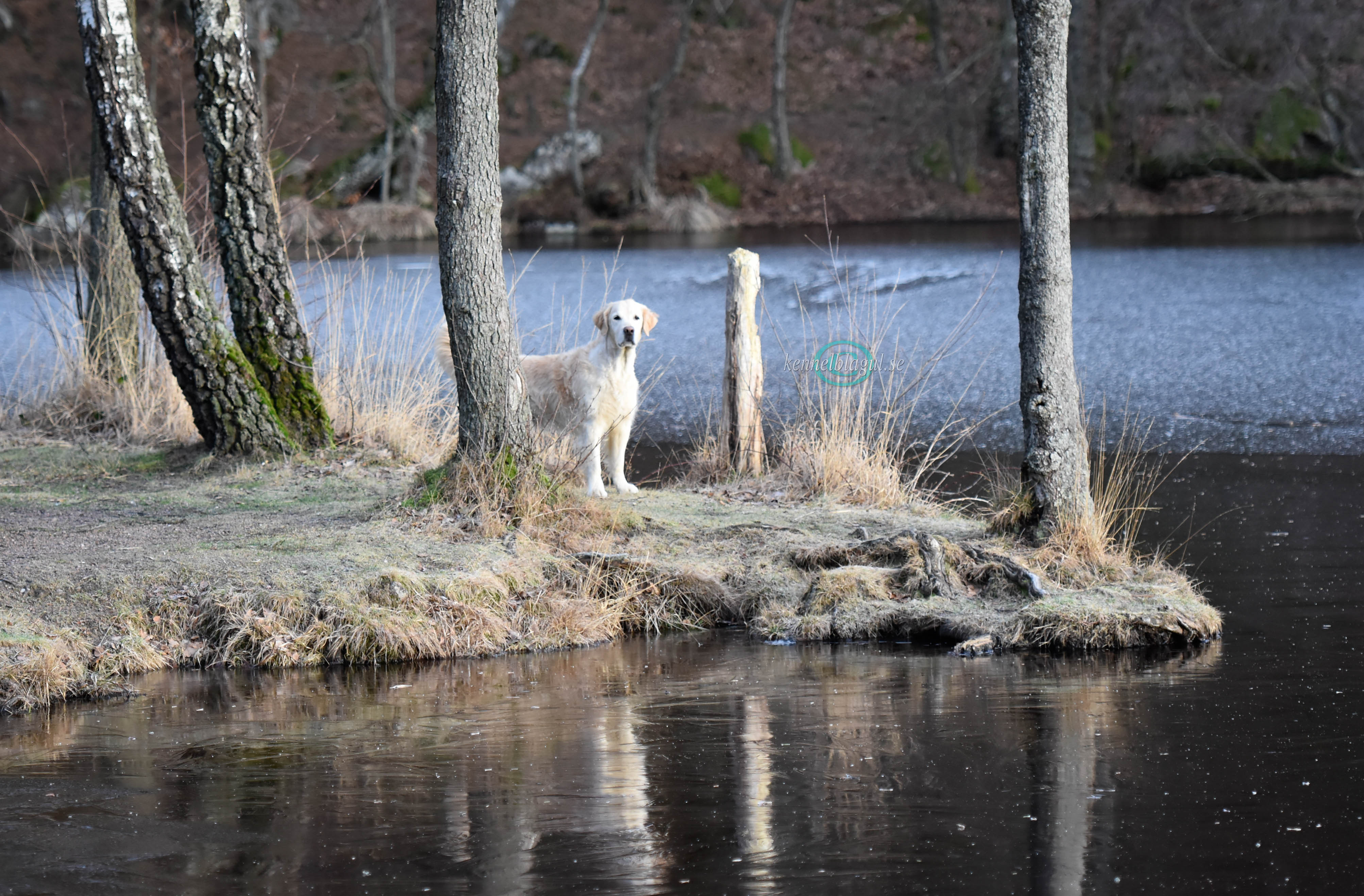 _DSC1205.jpg