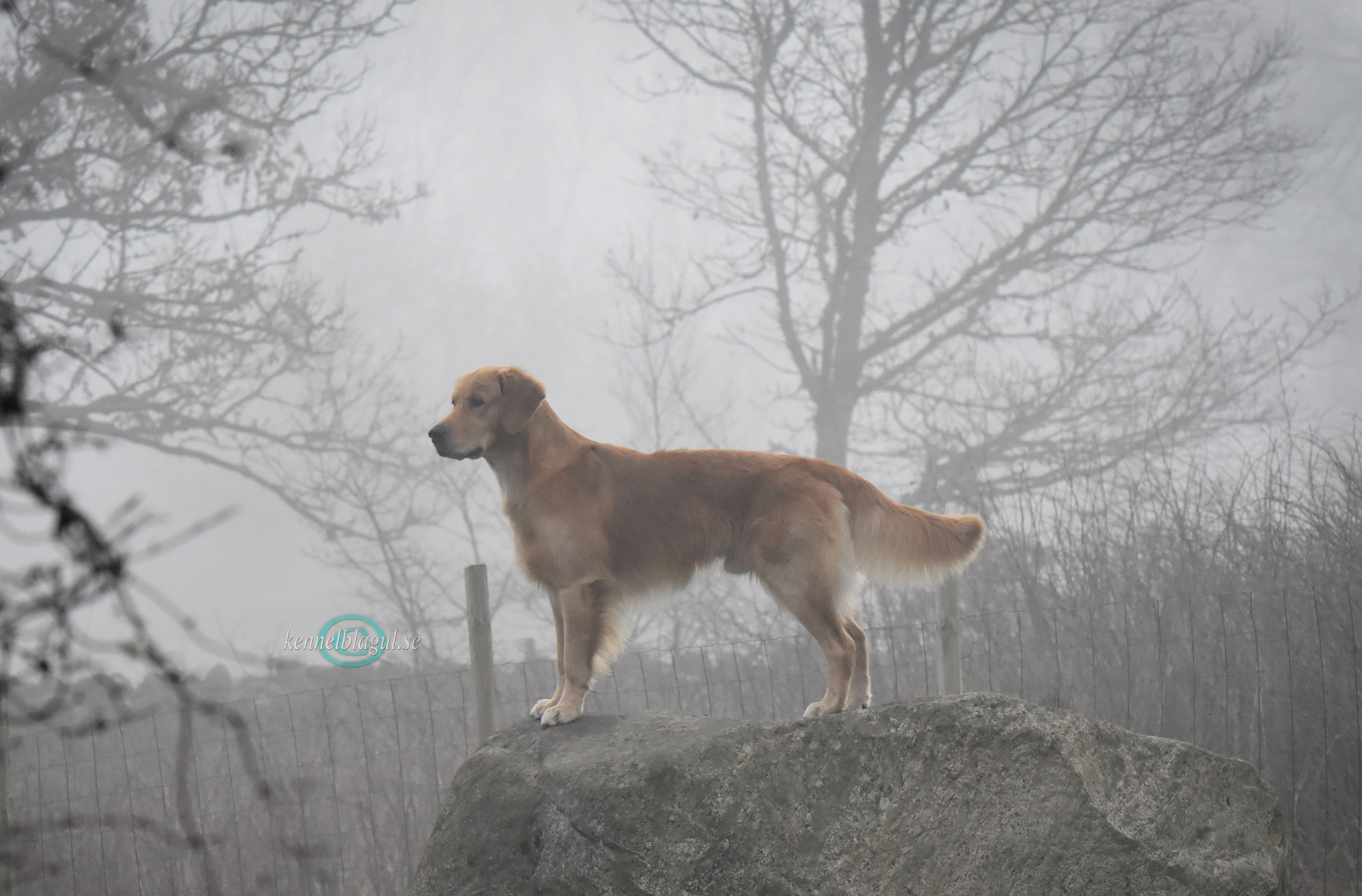 _DSC5600.jpg