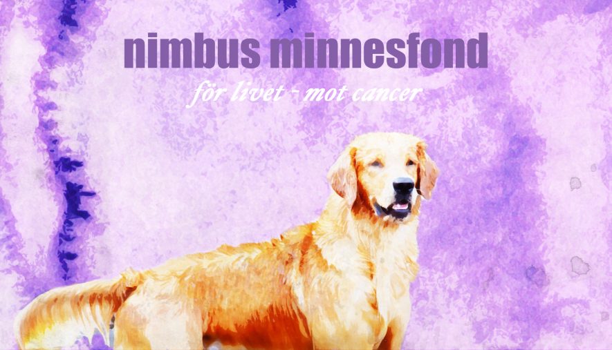 cropped-nimbus-minnesfond.jpg