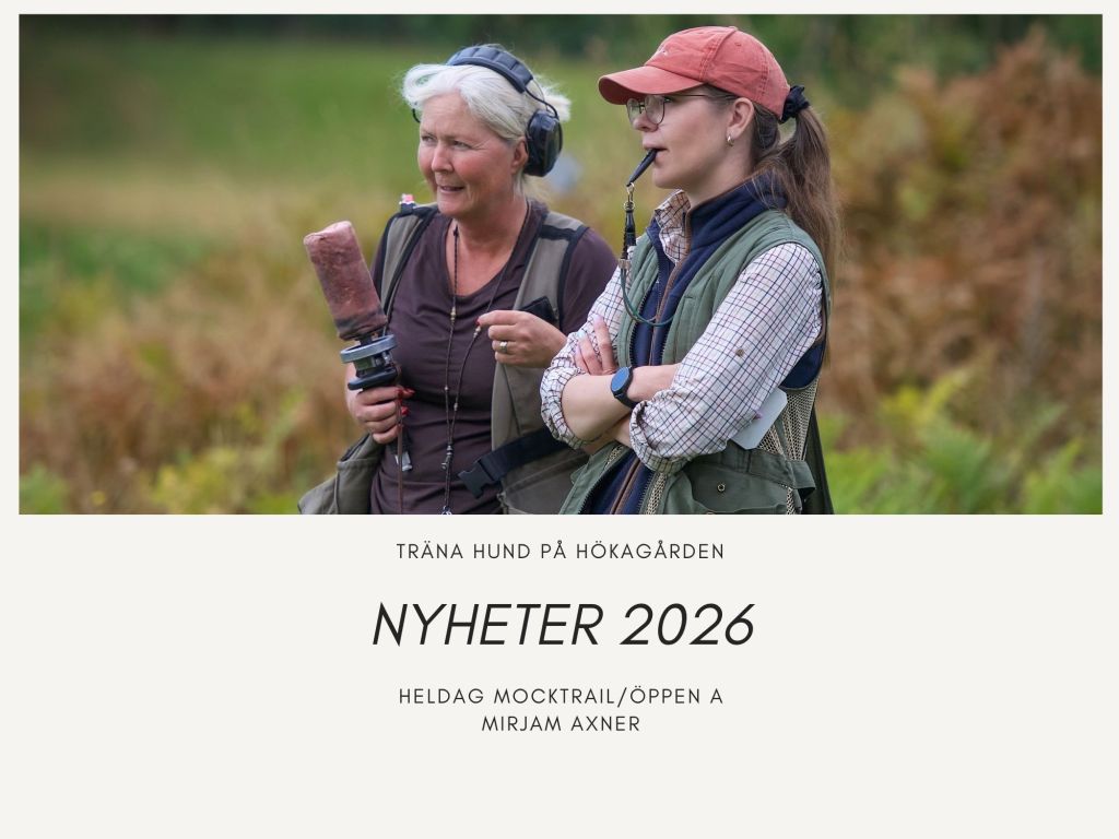 Dagskurs i öppen A – träna med Mirjam&nbsp;Axner