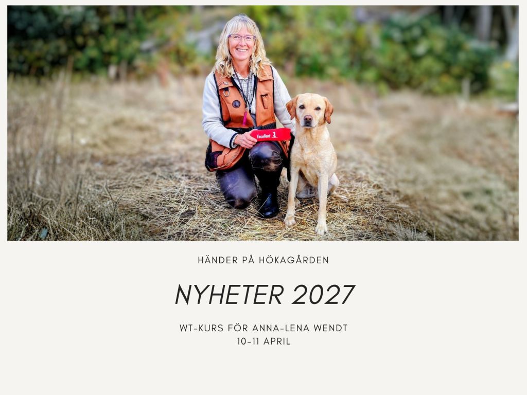 Intensivkurs WT med Anna-Lena&nbsp;Wendt